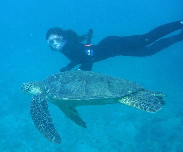 Lydia from L.A. freediving with the turtles