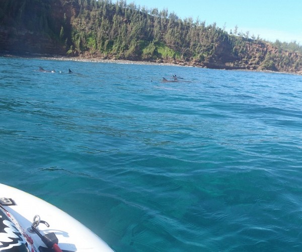 Playing with the Dolphins at Peahi Bay